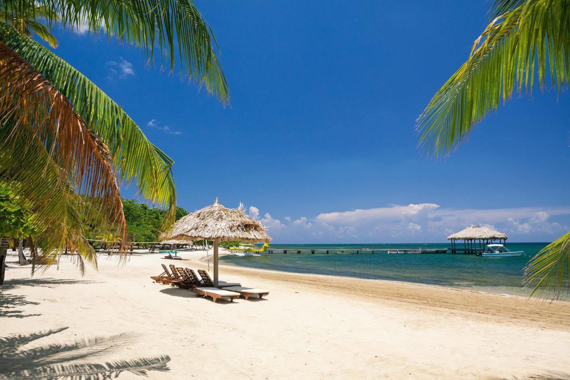 Casa Flores Palmetto Bay Экстерьер фото