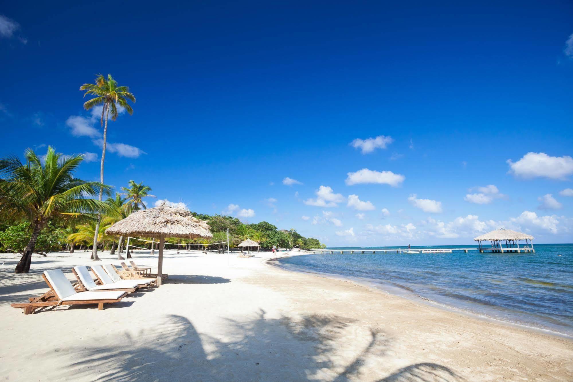 Casa Flores Palmetto Bay Экстерьер фото