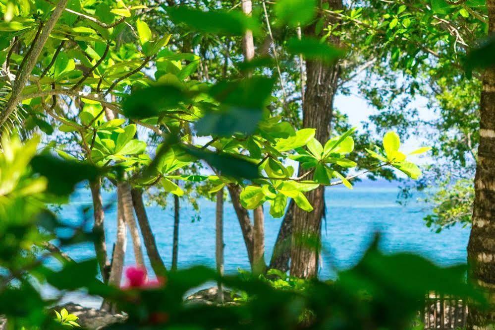 Casa Flores Palmetto Bay Экстерьер фото
